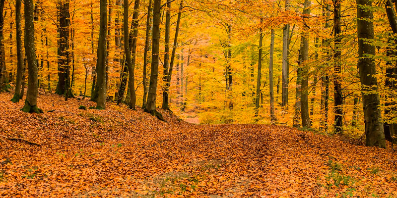 3 rincones urbanos que no te puedes perder en tu próxima visita a Euskadi