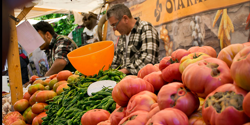 Disfruta de lo mejor de nuestra agricultura con nuestros mercados