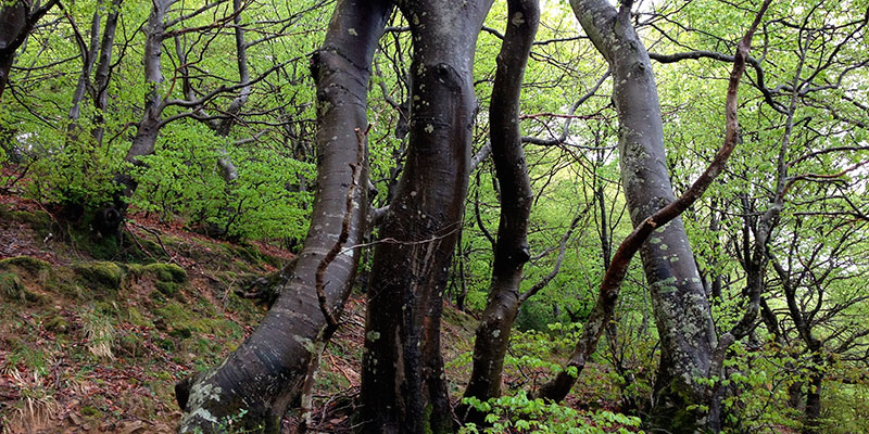 Un otoño cargado de citas ineludibles