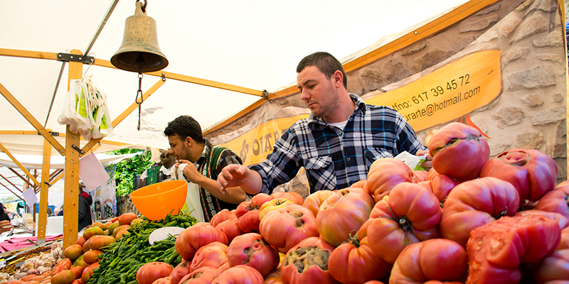 Qué no puedes perderte en las próximas semanas
