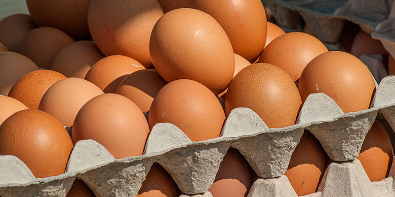 ¿Nos vamos de feria?