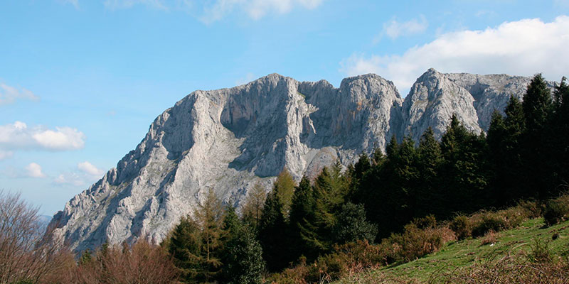 Vive el inicio de la primavera en nuestros parques naturales