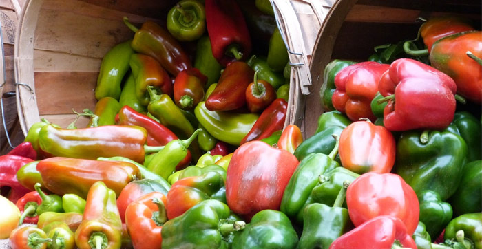 Productos de Euskadi