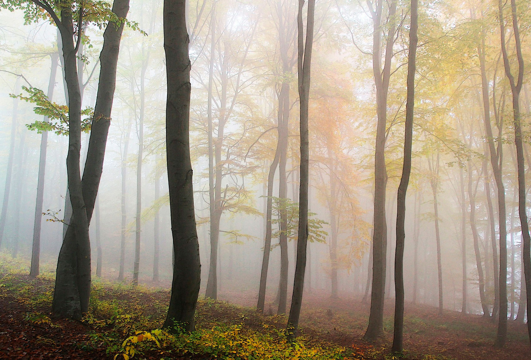 5 motivos para descubrir los parques naturales de Euskadi