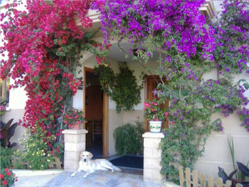 kanpoaldea landa-etxea Gure Ametsa Gipuzkoan 