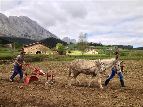 Entorno 2 agroturismo Biezko en Bizkaia