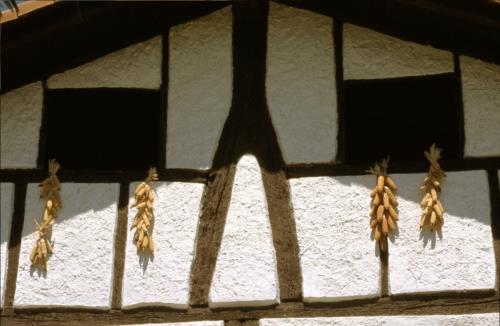 entorno agroturismo ugarte en gipuzkoa