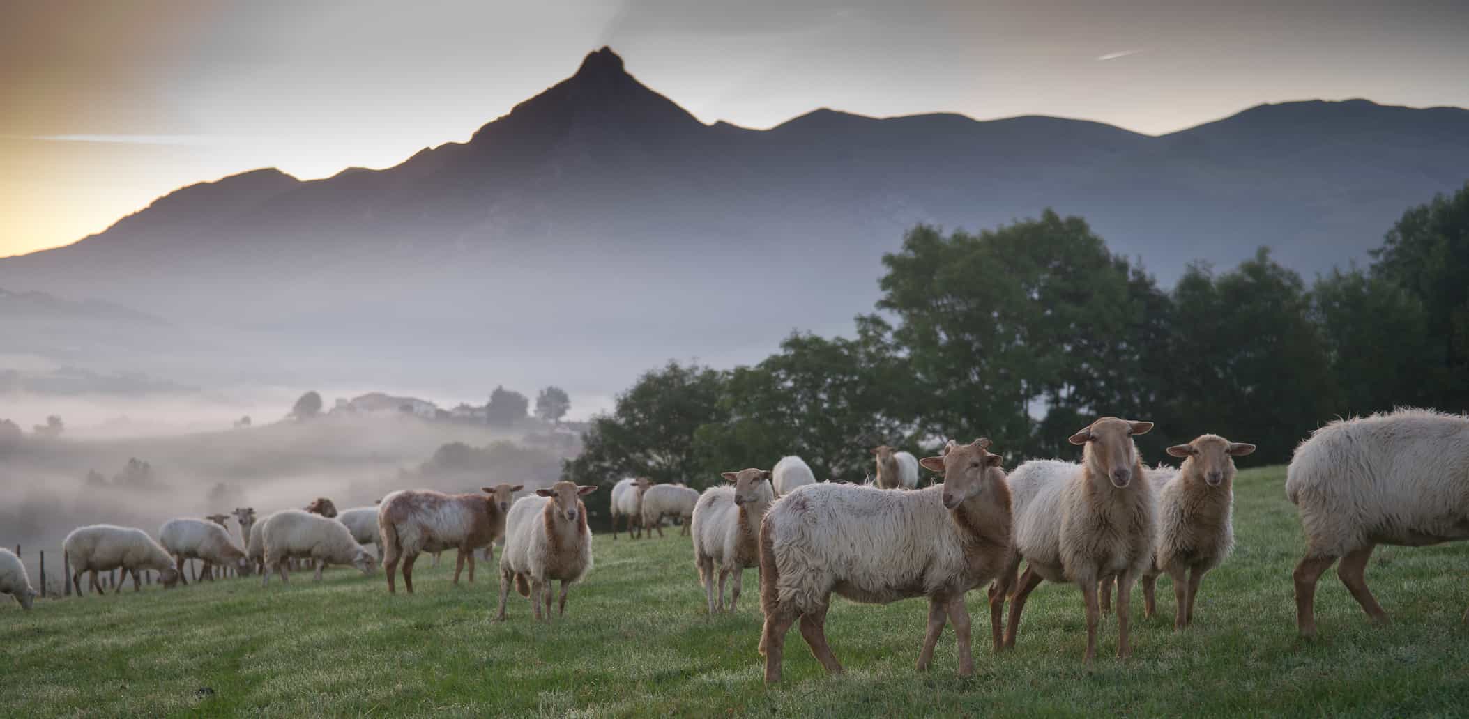 Monte Txindoki nevado
