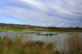 Plaiaundi sirve de refugio a aves migratorias