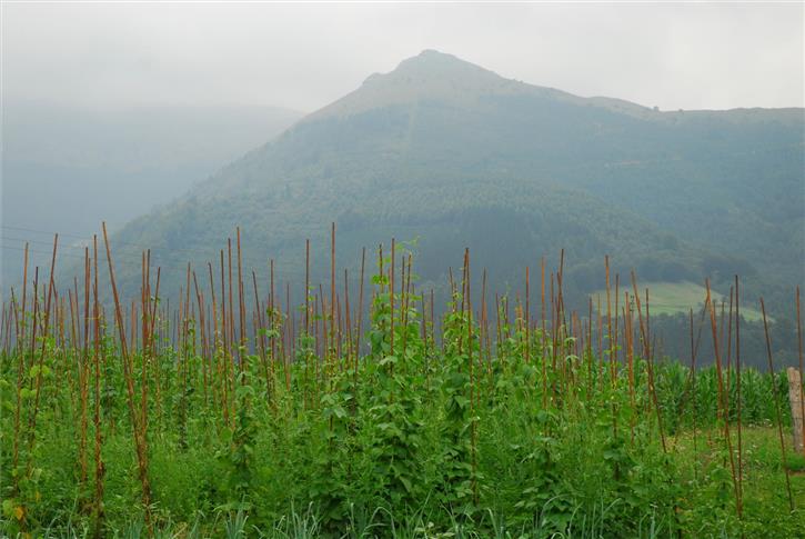 paisaia nekazalturismoa Irizar Azpikoa Gipuzkoan