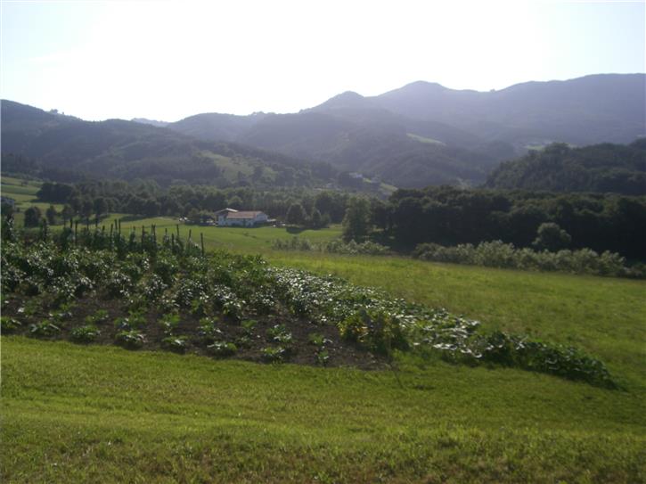 baratzea nekazalturismoa Tolare Berri en Gipuzkoa 