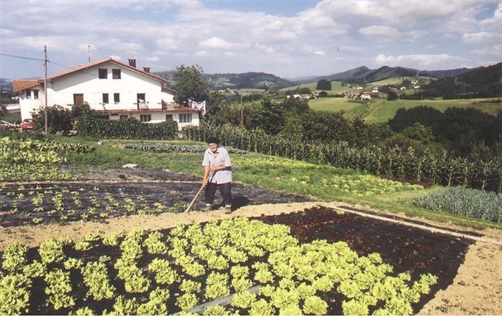 baratzea nekazalturismoa Enbutegi Gipuzkoan