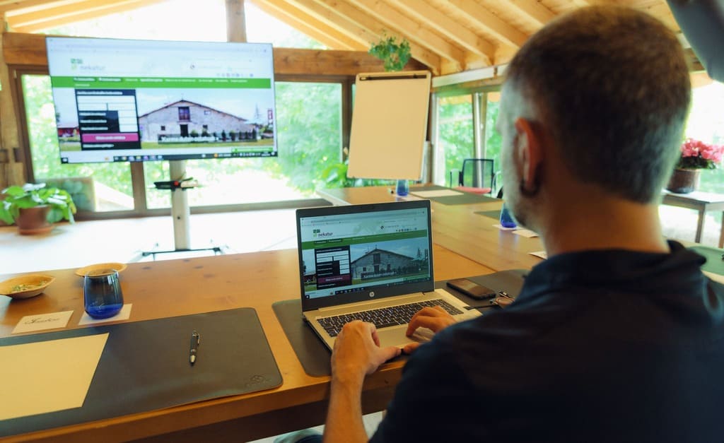 Una persona navegando en la web