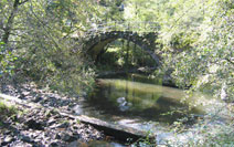 Biotopo protegido de leitzaran andoain gipuzkoa