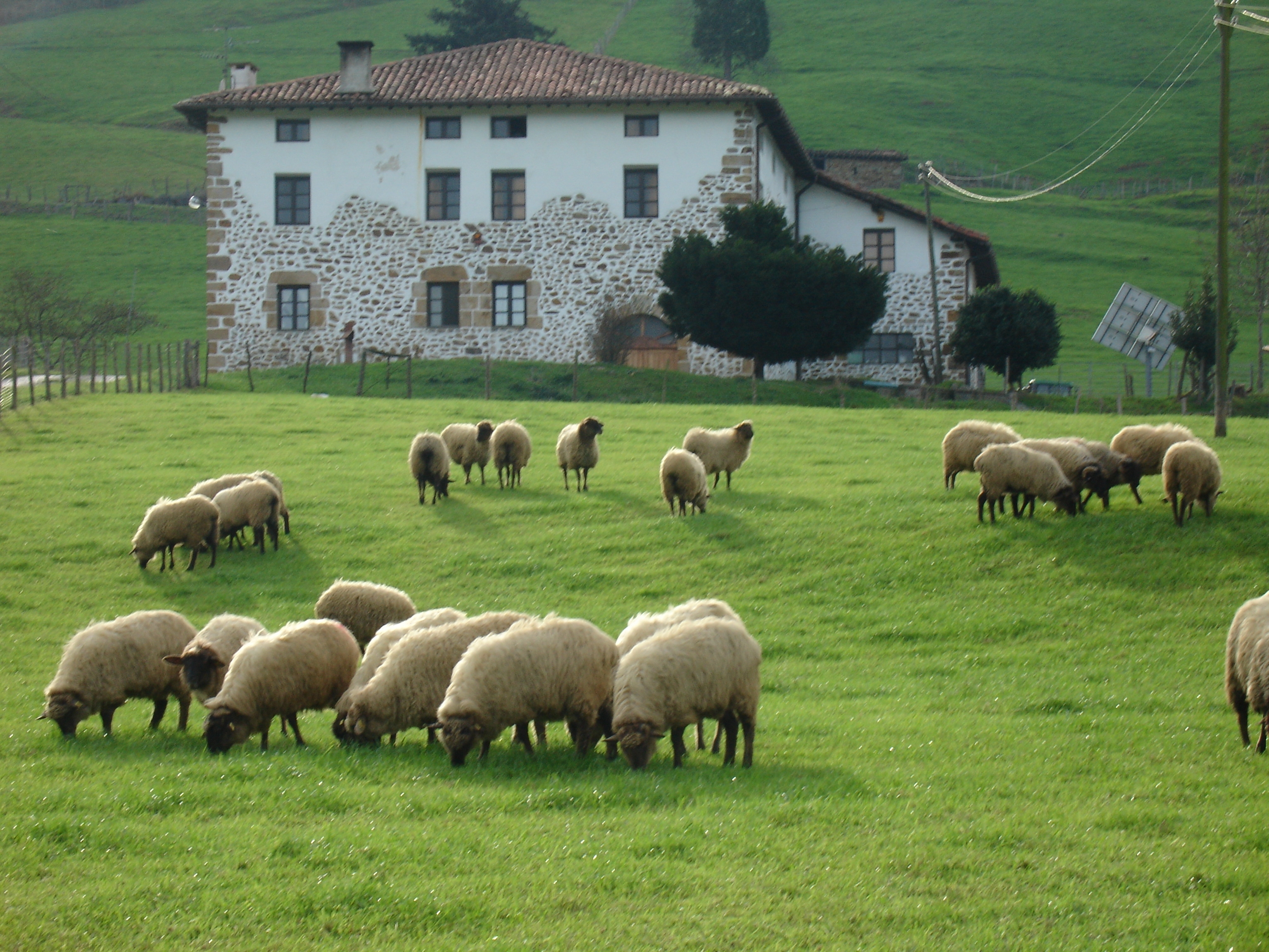 caserio errezabal ecomuseo pastoreo legazpi