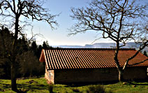 Paseos naturísticos - Recorridos Verdes