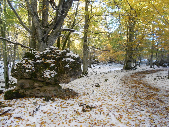 sierra de entzia cuadrilla salvatierra