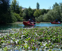 Club Piragüismo Pamplona - Iruñeko Piraguismo Elkartea