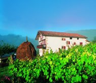 Ortillopitz - La Maison Basque de Sare