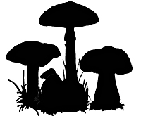 Coto de Setas de Asparrena