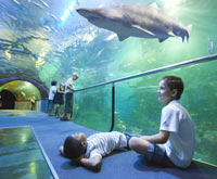 AQUARIUM Donostia San Sebastián