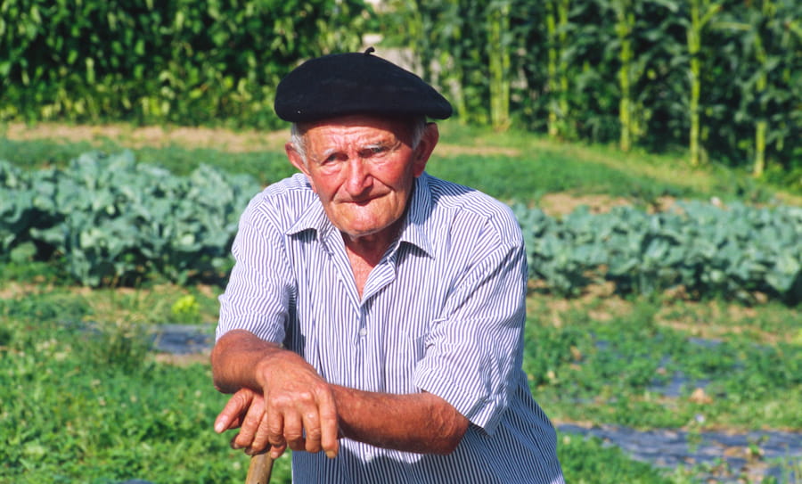 Señor mayor en la huerta
