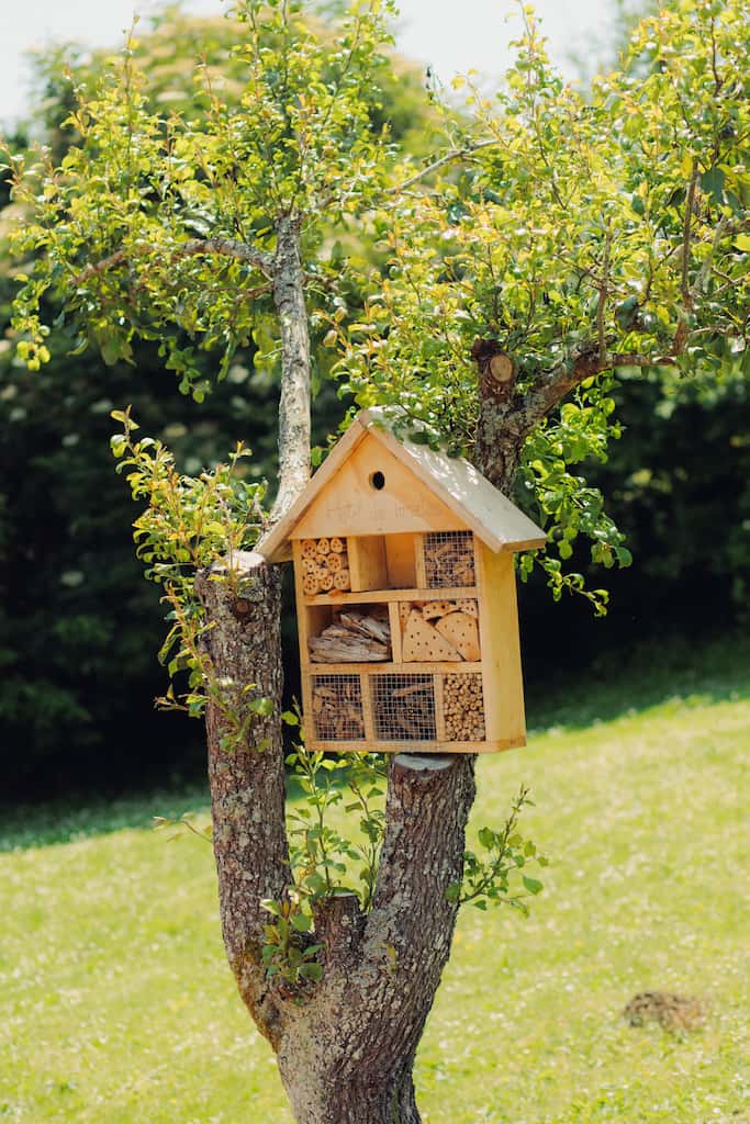 Gestionar y minimizar los residuos