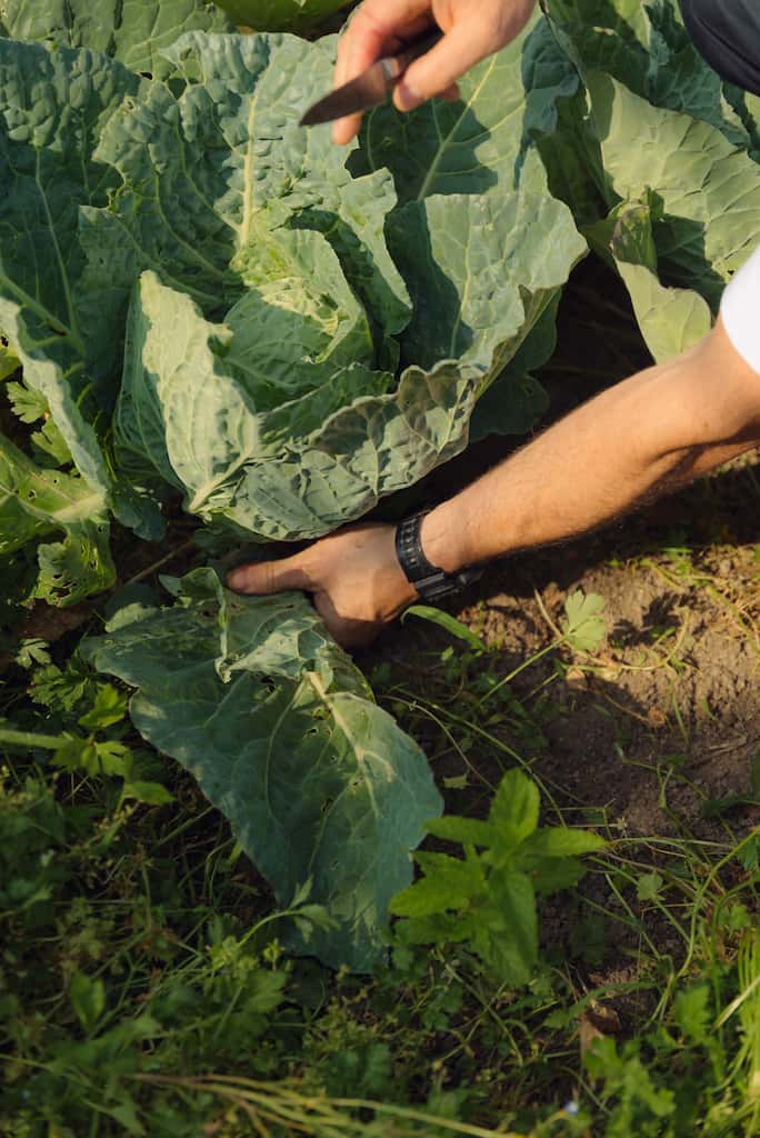 Respetar y cuidar del entorno